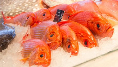 FISCH bleibt FrISCH – Vakuumverpackung in der Fischverarbeitung