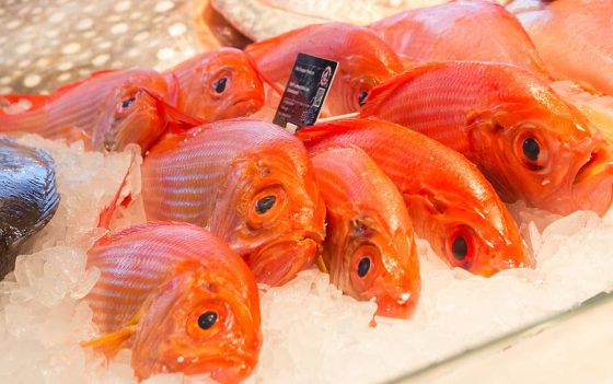 FISCH bleibt FrISCH – Vakuumverpackung in der Fischverarbeitung